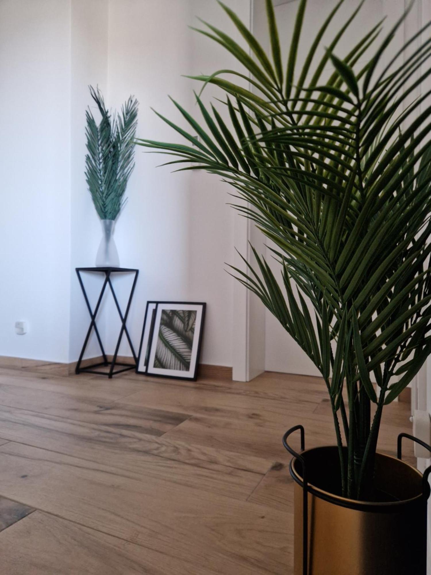 פריבלאקה Apartment Luka מראה חיצוני תמונה